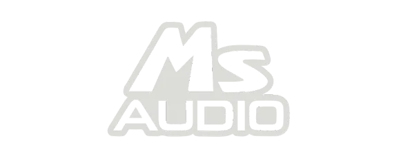 ms_audio